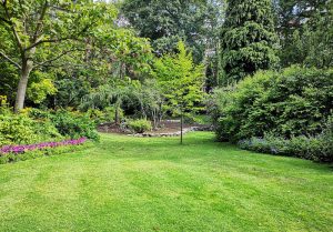 Optimiser l'expérience du jardin à Goincourt
